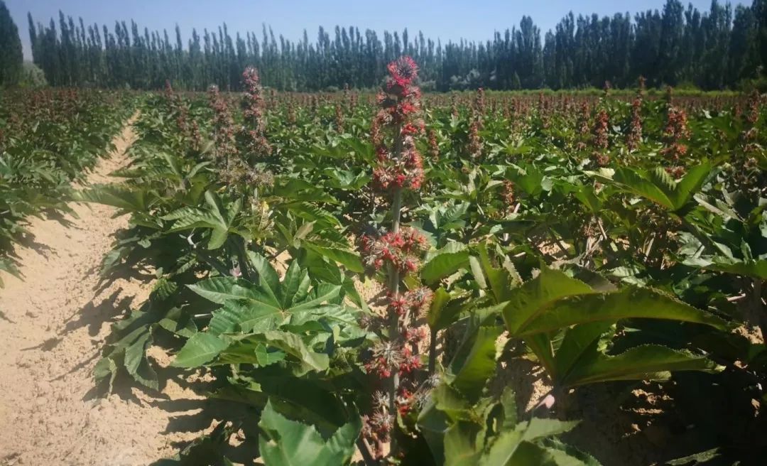 1690268597167926.jpg 640 (1).jpg